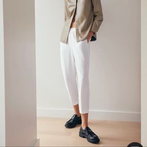 Aritzia Babaton Conan Pant